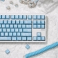 104+19 / 28 Full PBT Dye-subbed Keycaps Set for Cherry MX Keyboard Yuki-Onna / Zashiki-warashi / Snow Mountain